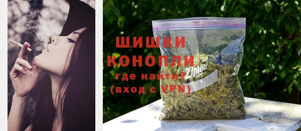 прущие грибы Армянск