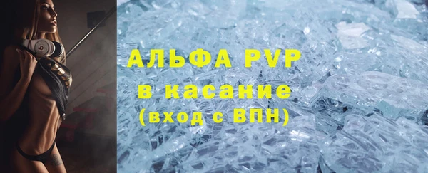 прущие грибы Армянск