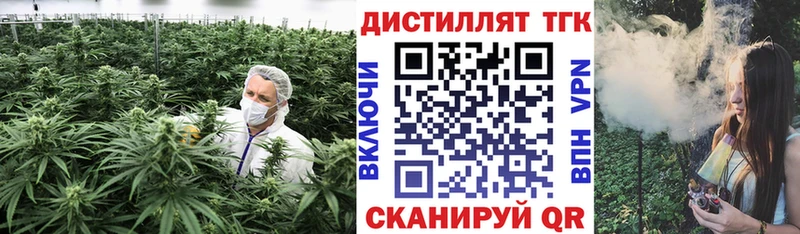 Купить закладки  Черкесск  ТГК жижа 