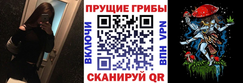 Галлюциногенные грибы мухоморы  Купить  Черкесск 